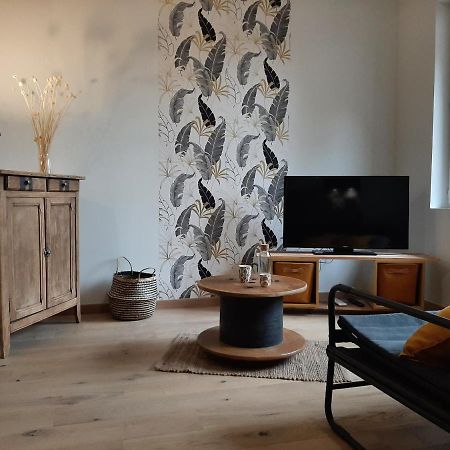 Louhans Les Petites Arcades Avec Ses Deux Appartements Cote Arcades Et Cote Cour Екстериор снимка