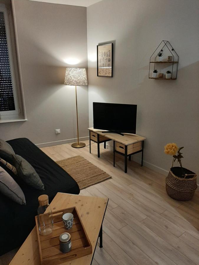 Louhans Les Petites Arcades Avec Ses Deux Appartements Cote Arcades Et Cote Cour Екстериор снимка