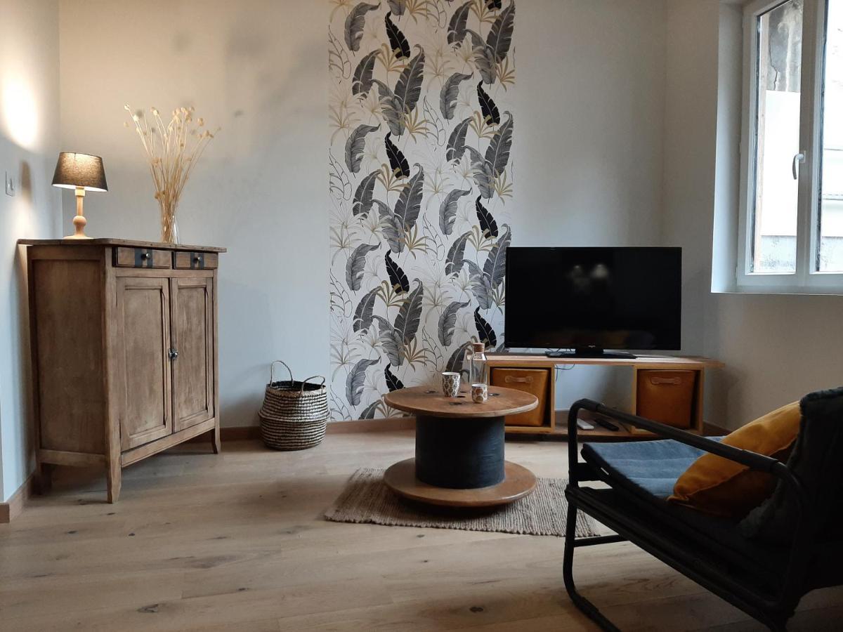 Louhans Les Petites Arcades Avec Ses Deux Appartements Cote Arcades Et Cote Cour Екстериор снимка